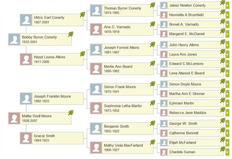 Screenshot of Ancestry.com Family Tree research.