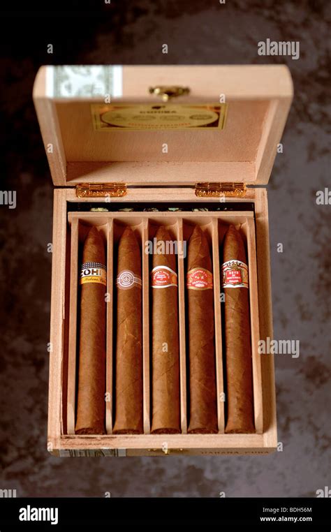 Box of handmade Cuban cigars Stock Photo - Alamy