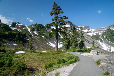 Driving the Mt. Baker Scenic Byway – Washington – But First, Gift Shop