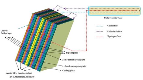 Schematic diagram of a portion of the fuel cell stack showing the ...