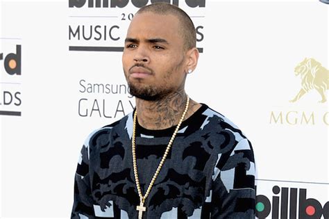 Chris Brown Cancels Summer Concerts After Probation Hearing