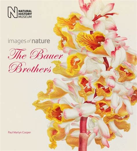 The Bauer Brothers: Images of Nature | NHBS Academic & Professional Books