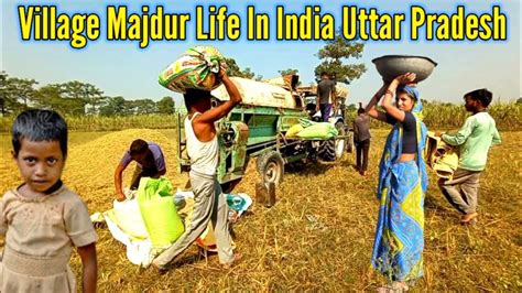 Majdur Village Life/Village Farmer Real Life India Uttar Pradesh/Natural Life In UP India - YouTube