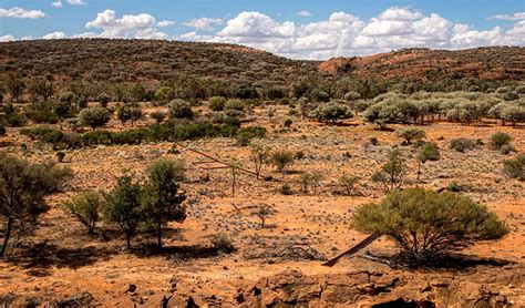 NSW deserts and arid shrublands | NSW National Parks