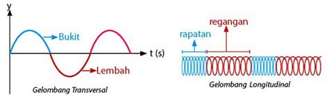 10 Contoh Soal Gelombang Transversal Dan Longitudinal Materi Kimia - Riset