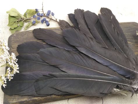 Crow feathers real raven black fetish natural for wreath | Etsy