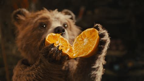 Marmalade Day | Paddington Bear Wiki | Fandom