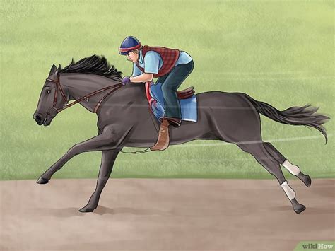 3 Ways to Keep Your Balance on a Galloping Horse | Horses, Horse galloping, Riding arenas