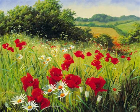 Sunlit Meadow Art Print by Mary Dipnall | King & McGaw