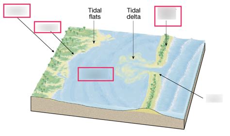 Barrier island diagram Diagram | Quizlet