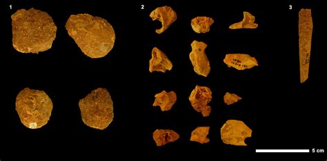 Cave hyena trace fossils. 1, coprolites; 2, regurgitated bones; 3,... | Download Scientific Diagram