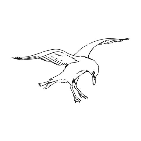 Sketch of flying seagulls. Hand drawn illustration converted to vector ...