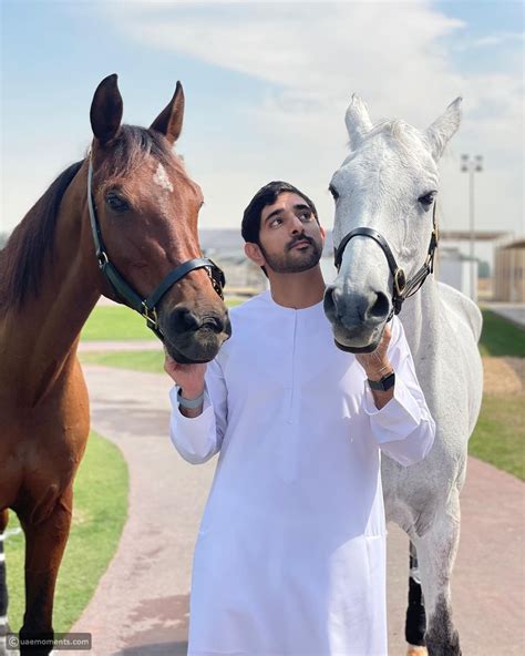 UAE Royals: Get to Know Sheikh Hamdans Horses