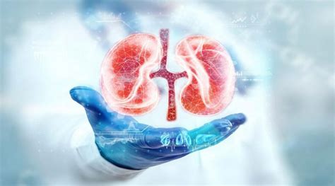 Understanding Hypertensive Nephropathy Causes, Symptoms, and Treatment ...