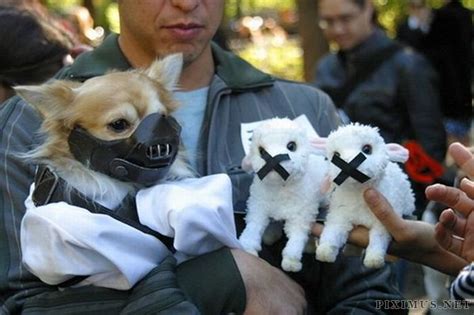 Incredible Dog Costumes Inspired by the Movies | Animals