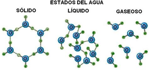 estructura del agua en los tres estados de la materia , si alguien me puede ayudar - Brainly.lat