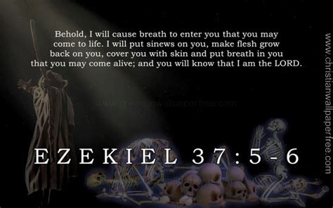 Ezekiel 37 Verses 5 6