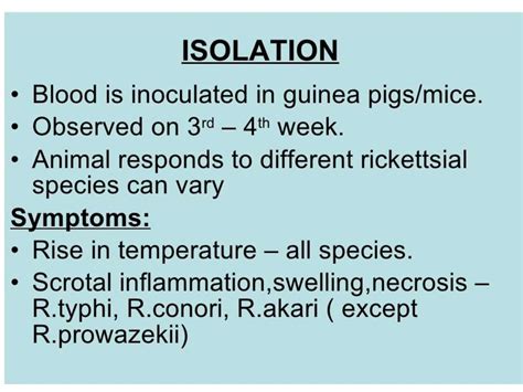 Rickettsial infection - презентация онлайн