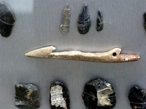 Changes in Stone tools used by Mesolithic hunter-gatherers linked to ...