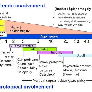 (PDF) Niemann-Pick disease type C