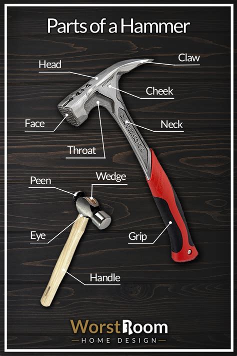 10 Parts of a Hammer: Diagrammed to Understand - Worst Room