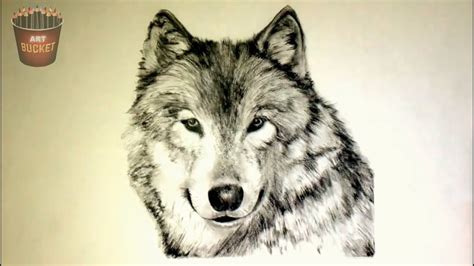 7 CUTE and REALISTIC Animals Drawings - YouTube