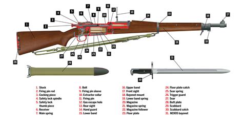 M1903 Springfield: A Rifle With Unmatched Accuracy, 60% OFF