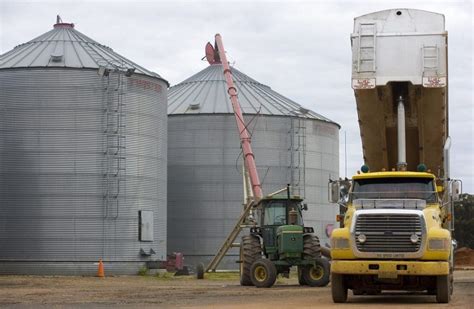 Improve grain storage for a trouble-free harvest - Grain Central