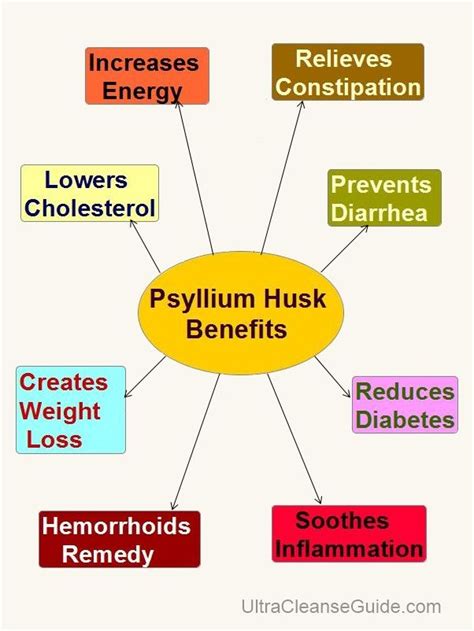 Benefits of Psyllium: What Are The Psyllium Husk Benefits | Psyllium ...