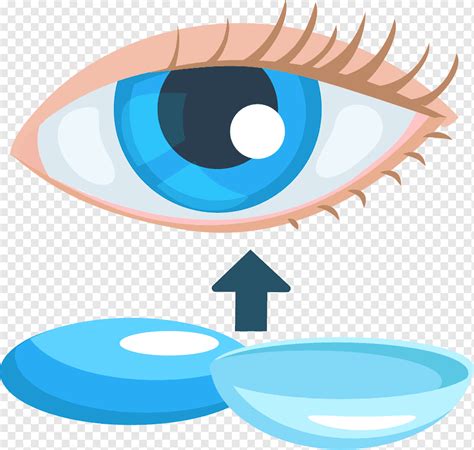 Eye Contact lens, Eye contact lenses, lens, png Graphics, people png | PNGWing