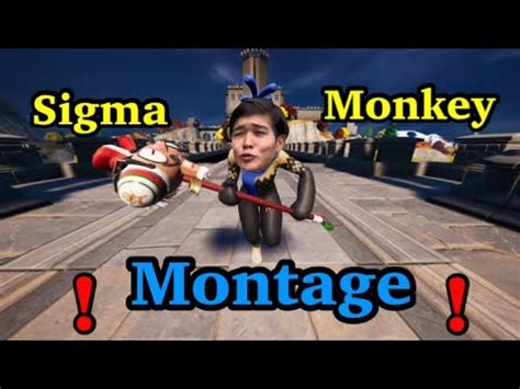 Sigma Monkey Montage - YouTube