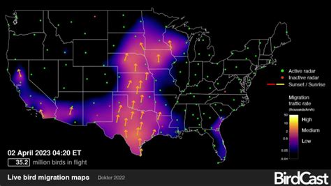 Bird Migration Forecasts & Live Radar Maps - ThinkingAfield.org