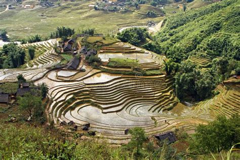 Rice Terraces, Sa Pa, Vietnam Stock Image - Image of rice, north: 27865723