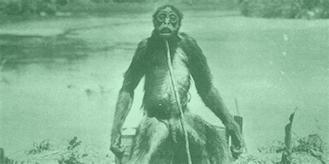 10 Lesser-Known Cryptid Monsters That Have Been Debunked - Wackoid