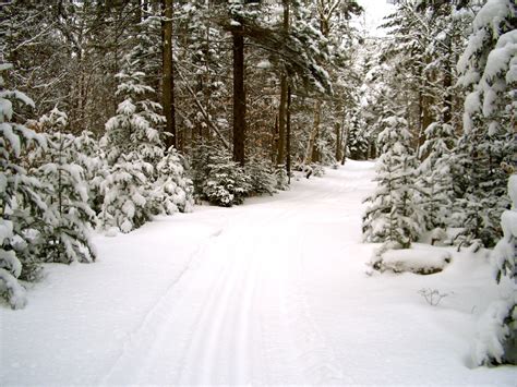 VERMONT SNOWFALL by Sheri Lindner