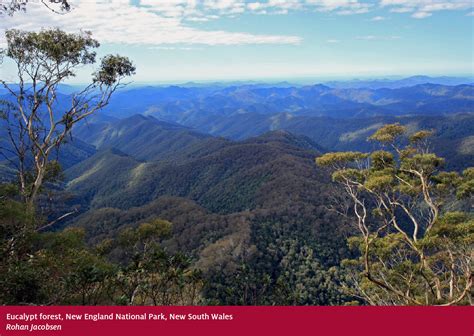 Australia's forests – overview - Department of Agriculture