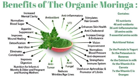 Joe Matheson on LinkedIn: 10 POWERFUL BENEFITS OF MORINGA OLEIFERA