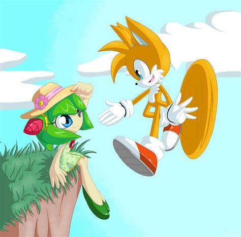 Tails and Cosmo by Tataina8 on DeviantArt Sonic The Hedgehog, Hedgehog ...