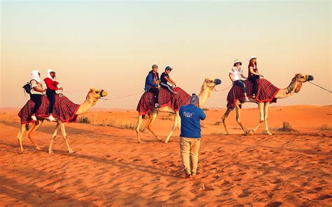 Book Desert Safari at Dubai Desert Conservation Reserve | Headout