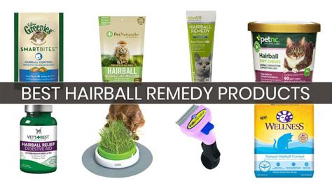 10 Best Hairball Remedy Products: Your Buyer’s Guide (2018) | Heavy.com