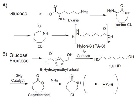 Polyamide - Biosynthesis / Alfa Chemistry