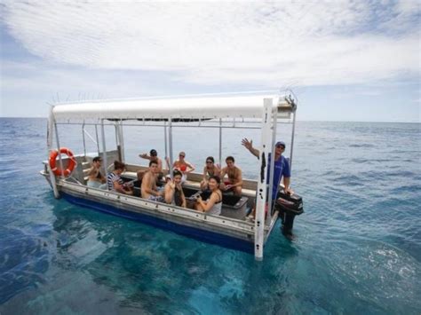 Day Tours with Glass Bottom Boats - Cairns-Tours