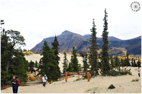 Carcross Desert - Landscape & Rural Photos - A LEFT-EYED VIEW