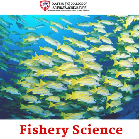 The Fishery science graduate program is concerned with quantitive studies of marine & freshwater ...