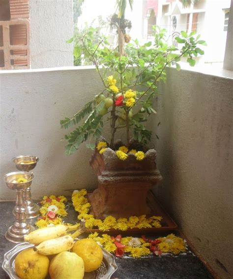 Tulsi Pooja | Tulsi plant, Tulasi plant, Plant decor