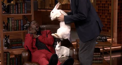 Kevin Hart Hilariously Freaks Out Over Rabbits on ‘Jimmy Fallon’s Hop Quiz Game – Watch Here ...