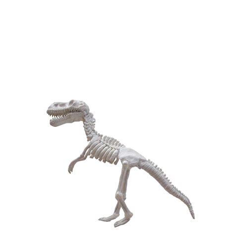 Baby T-Rex Dinosaur Skeleton Life Size Statue | Michaels