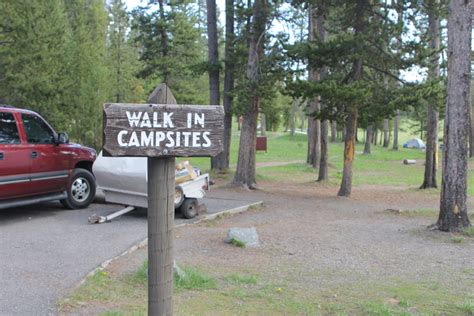 Are Dogs Allowed In Yellowstone Campsites