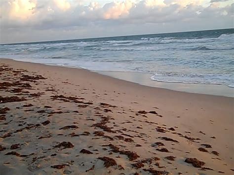 The Treasure Beaches Report Direct From Florida's Treasure Coast.: 10/6 ...