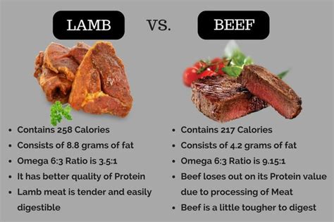 Lamb vs. Beef: Complete Comparison of Nutrition, Benefits & Taste ...